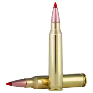 Rifle Ammo